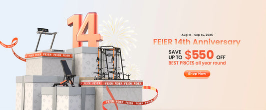 FEIER's 14th anniversary