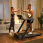 Treadmill exercise